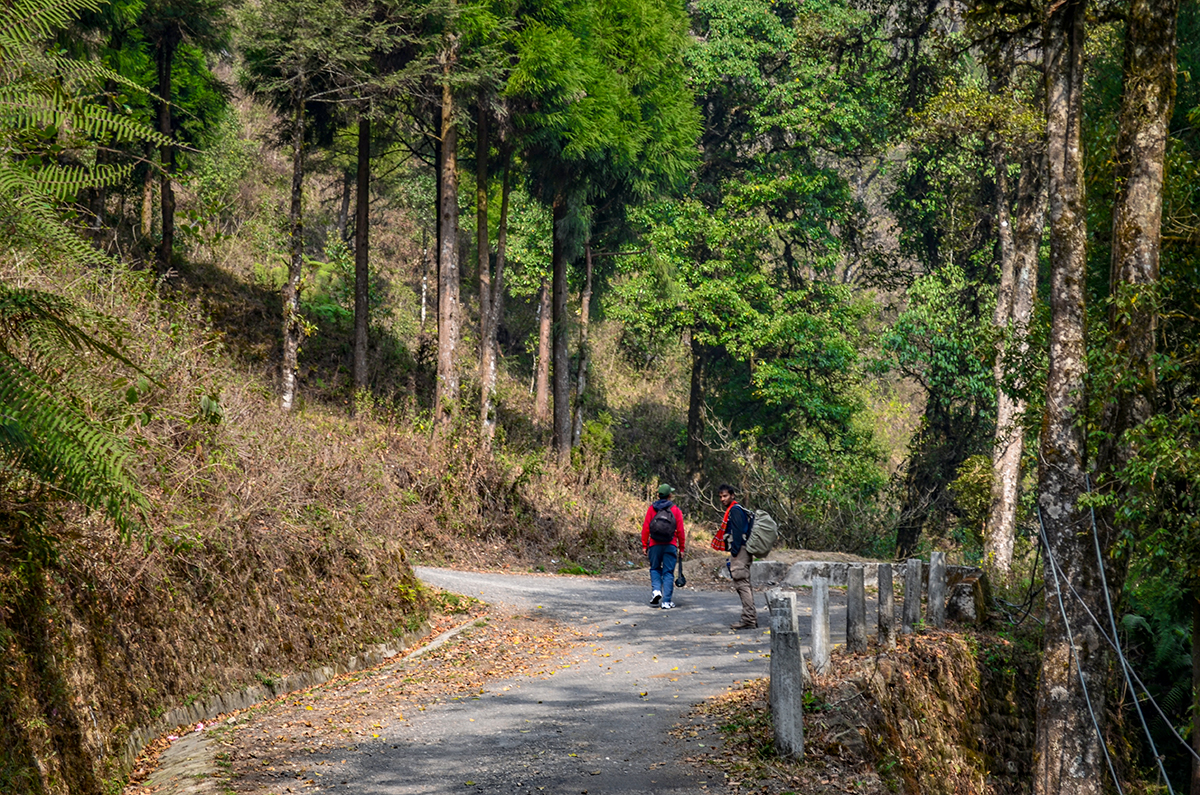 © Mahmud Farooque on the way to Chitrey from Manyebhanjan